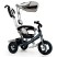 Велосипед дитячий триколісний WS-862AW Сірий